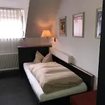 Hotel Hotel-landgasthof Grüner Baum - Dittigheim