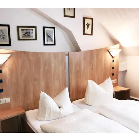 Hotel-landgasthof Gruener Baum - Dittigheim *