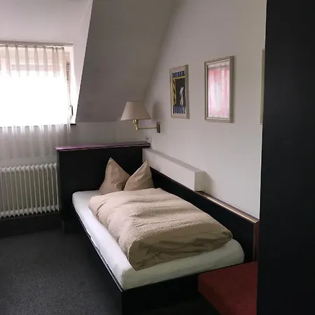 Hotel-landgasthof Gruener Baum - Dittigheim