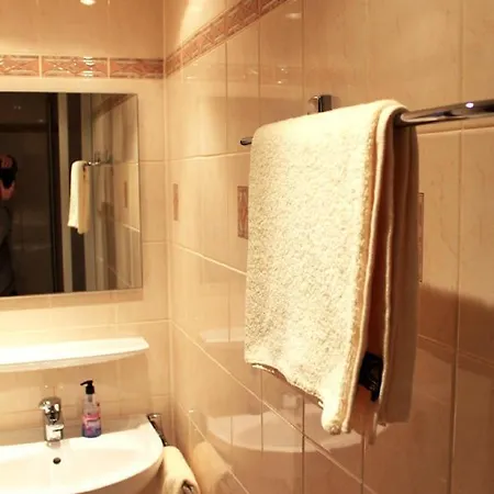 Hotel Hotel-landgasthof Grüner Baum - Dittigheim