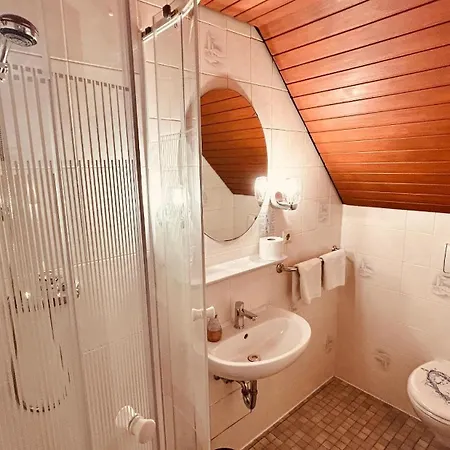 Hotel-landgasthof Gruener Baum - Dittigheim Szálloda *