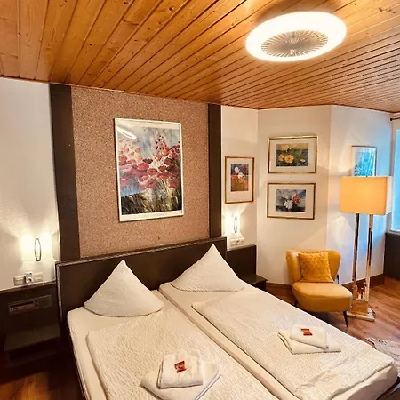 Szálloda Hotel-landgasthof Gruener Baum - Dittigheim *