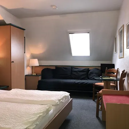 Hotel-landgasthof Grüner Baum - Dittigheim Hotel