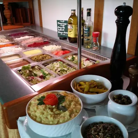 Hotel Hotel-landgasthof Gruener Baum - Dittigheim