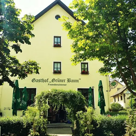 Hotel-landgasthof Gruener Baum - Dittigheim Hotel