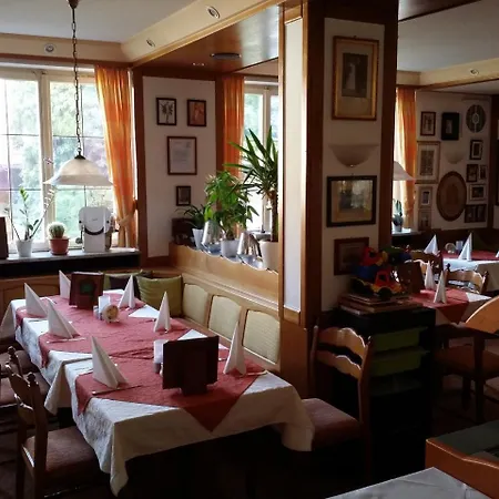 Szálloda Hotel-landgasthof Gruener Baum - Dittigheim *